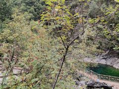 -叠溪松坪沟景区