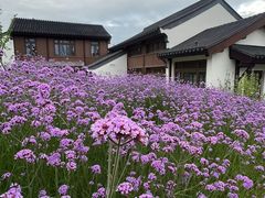 -石湖景区