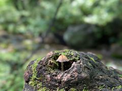 -玉渡山自然风景区