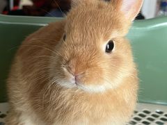 -雨林宠物医院 非犬猫异宠专科