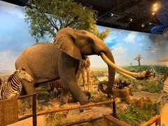 -陕西自然博物馆