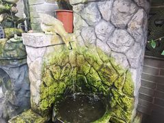 -农厨好味·温泉鹅·农家菜