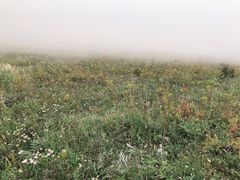 -白草畔自然风景区