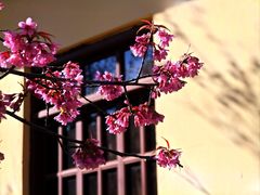 -云南师范大学(一二一西南联大校区)