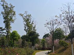 -东莞植物园