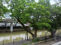 -广东胜利宾馆西关粤中餐厅