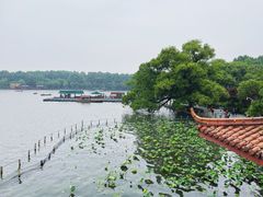 -湖畔居茶楼(湖滨店)