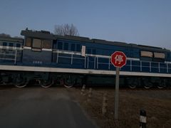 -东郊湿地公园