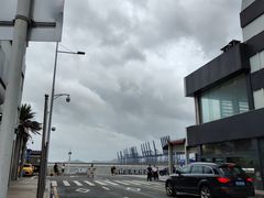 -新金盛·海鲜酒楼(盐田店)