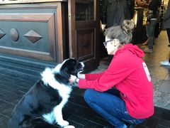 -Fergburger(皇后镇店)