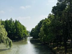 -尚贤河湿地