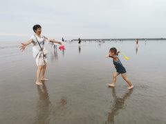 -奉贤海滩