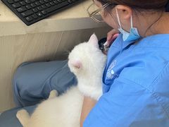 -宠颐生宠物医院·骨外科·犬猫全科诊疗中心(池州店)