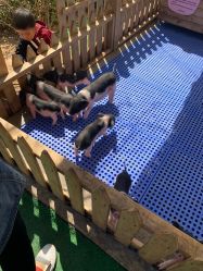 -萌宠亲子动物乐园(槐房万达店)