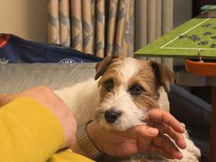 -老赵面店(大西路店)