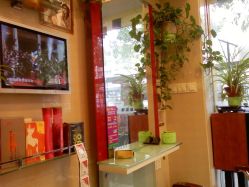 PIC-0011-新语丝专业美发沙龙