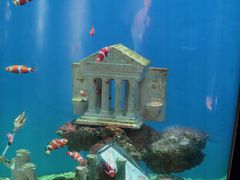 -海合安武汉极地海洋公园