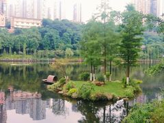 -重庆彩云湖湿地公园