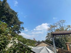 -她说户外烧烤团建(西湖店)