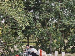 -宝安西湾红树林湿地公园