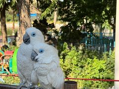 -水上乐园·欢乐世界