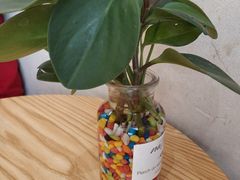 -挞柠·手打柠檬茶(江夏店)