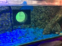 -梦幻海洋王国(吾悦广场张家港店)