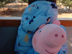 -永定河休闲森林公园