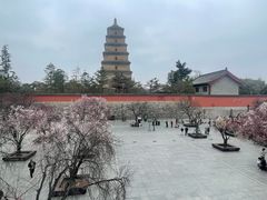 -大慈恩寺(大雁塔)