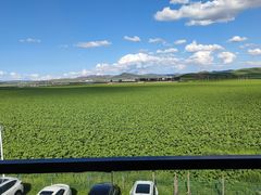 -格桑花餐厅·炭火烤羊腿(丰宁坝上草原店)