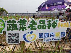 -菊园百果园