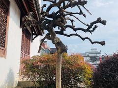 -东梓关景区村庄