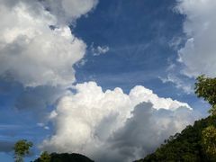 -狮子沟牧场