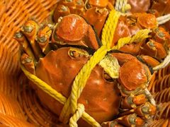 -蟹村草堂·苏式园林人文农家·大闸蟹