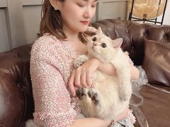 -猫大福·Fortune Cat猫舍(百子湾店)