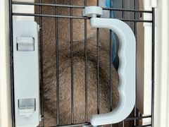 -瑞派康怡24h宠物医院·犬猫医疗中心·微创绝育(瑞景分院)
