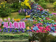 -云溪植物园