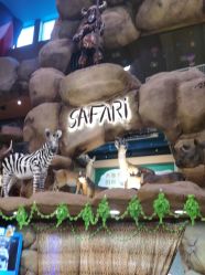 -卡通尼·Safari非洲探索乐园·生日会(金桥国际商业广场店)