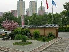 -大江户·温泉洗浴(浑南店)