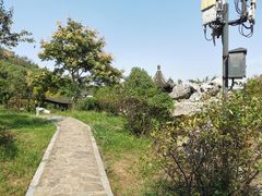-灵岩山风景区