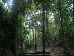 -水濂山森林公园