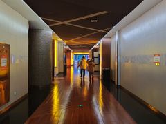 -龙之星国际影城(太平店)