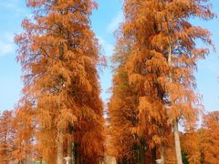 -东湖磨山景区