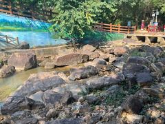 -广州白江湖森林公园