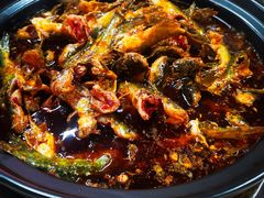 -金海椒罐罐鲢鱼(东方桂苑店)