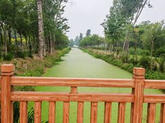 -东郊湿地公园