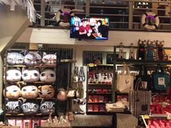 -猫咪博物馆(顶澳仔猫街店)