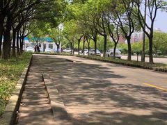 -安飞驰驾校·学车连锁(金高店)