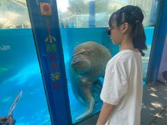 -海合安成都极地海洋公园