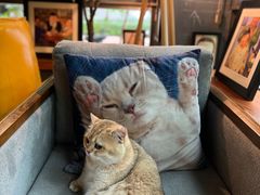 -咖法森林·咖啡  酒吧(天河店)